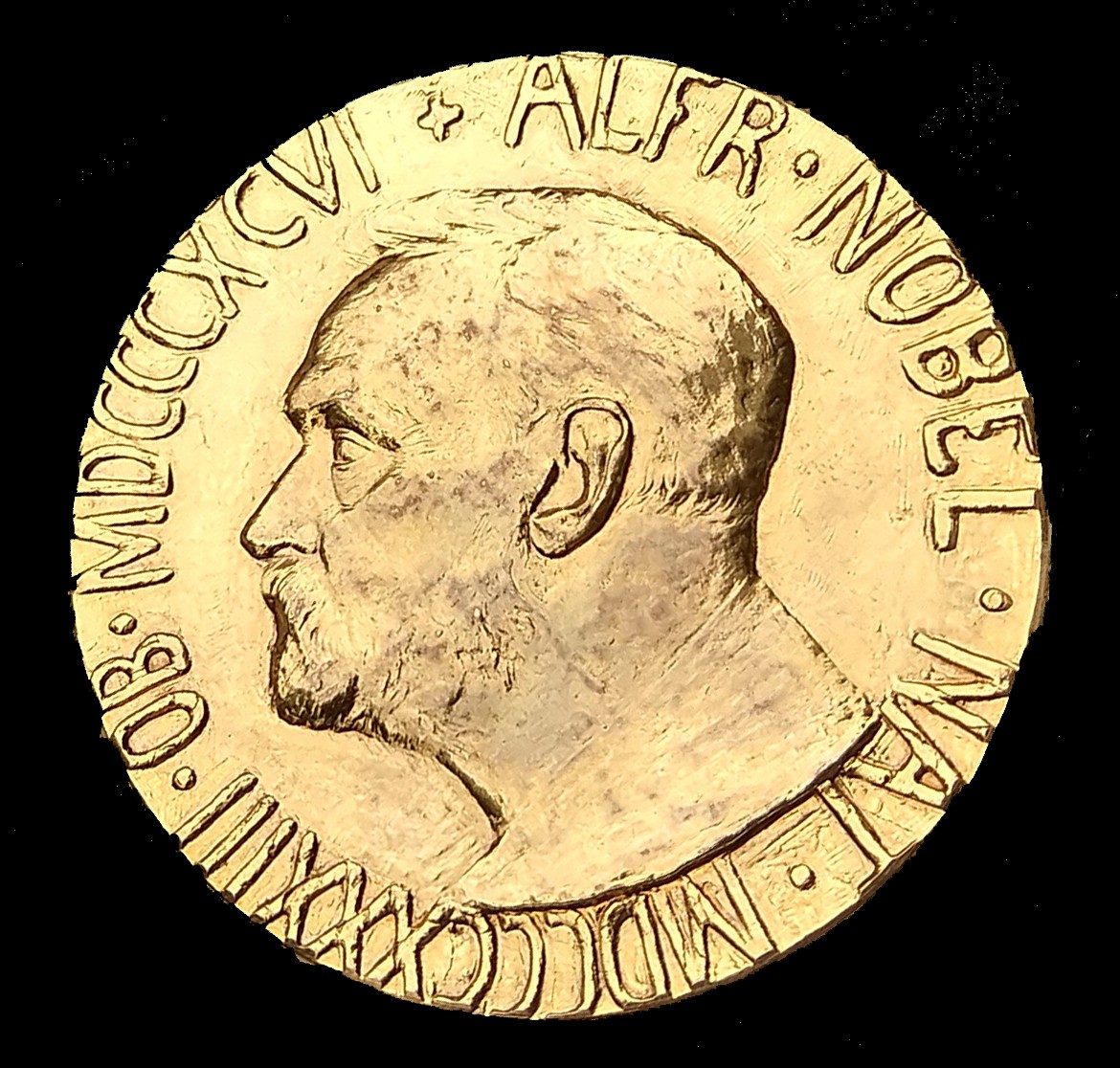 2017 Peace Nobel Prize. Photo source: NAPF picture gallery NAPF