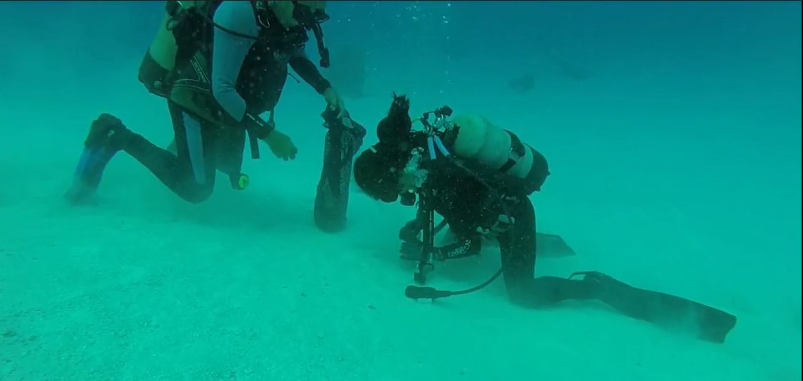 Ocean sediment collection in Utirik Island, Utirik Atoll, 2017 Ocean sediment collection in Utirik Island, Utirik Atoll, 2017