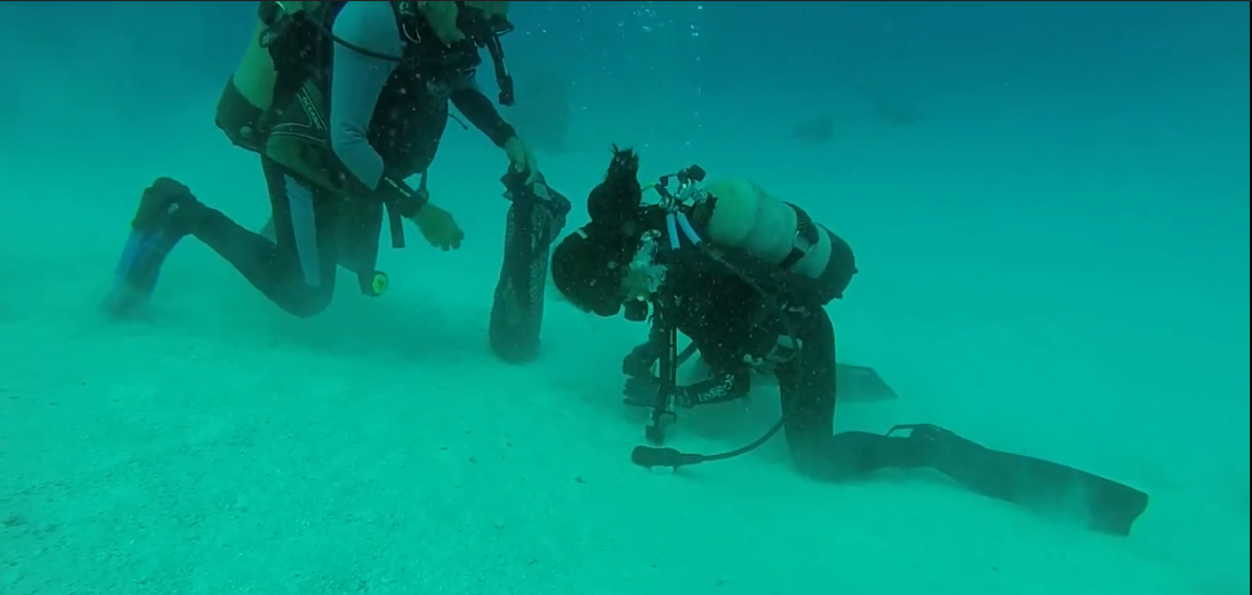 Ocean sediment collection in Utirik Island, Utirik Atoll, 2017