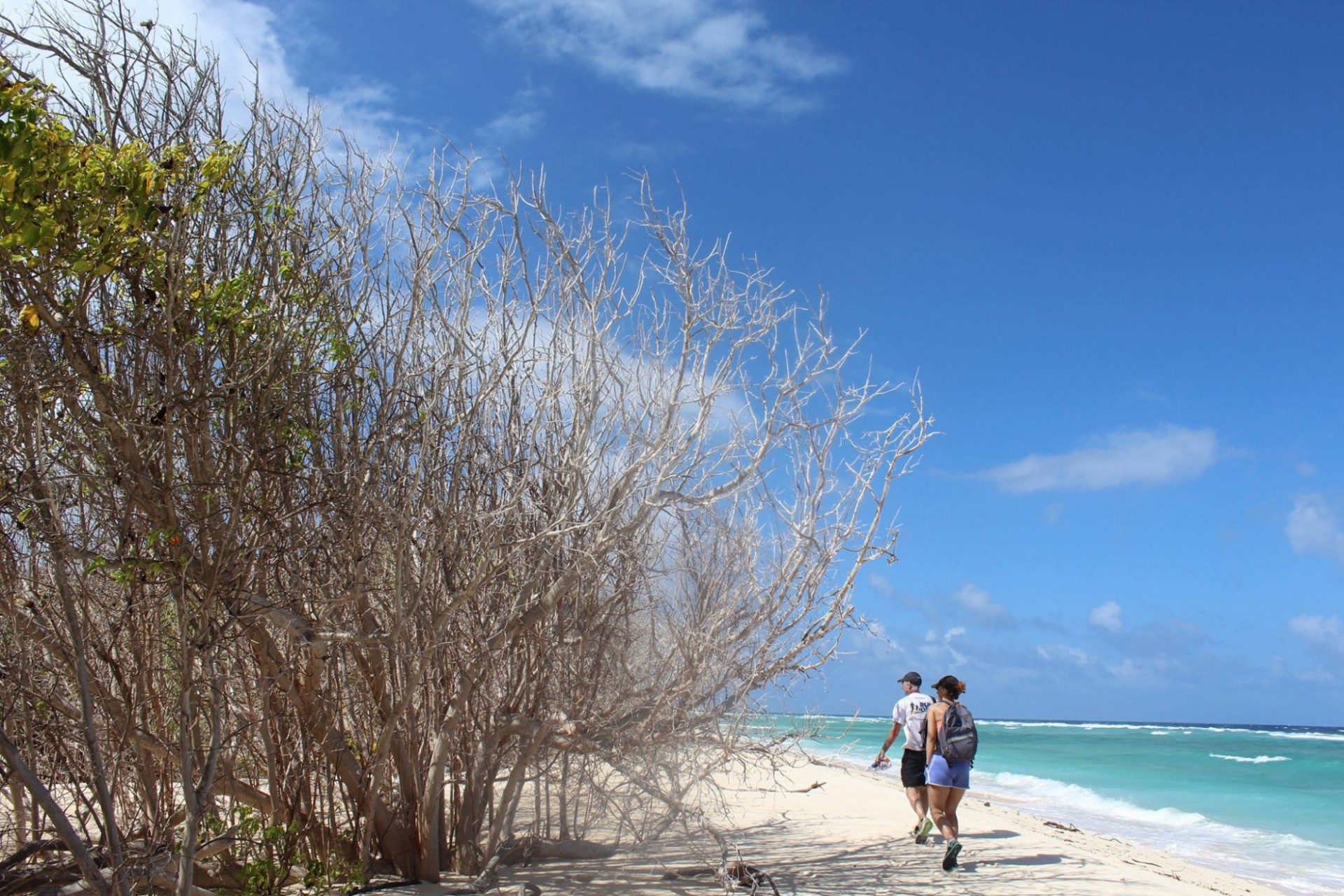 Surface radiation measurements on the island of Enyu, Bikini Atoll, 2017