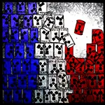 French Policy after Fukushima