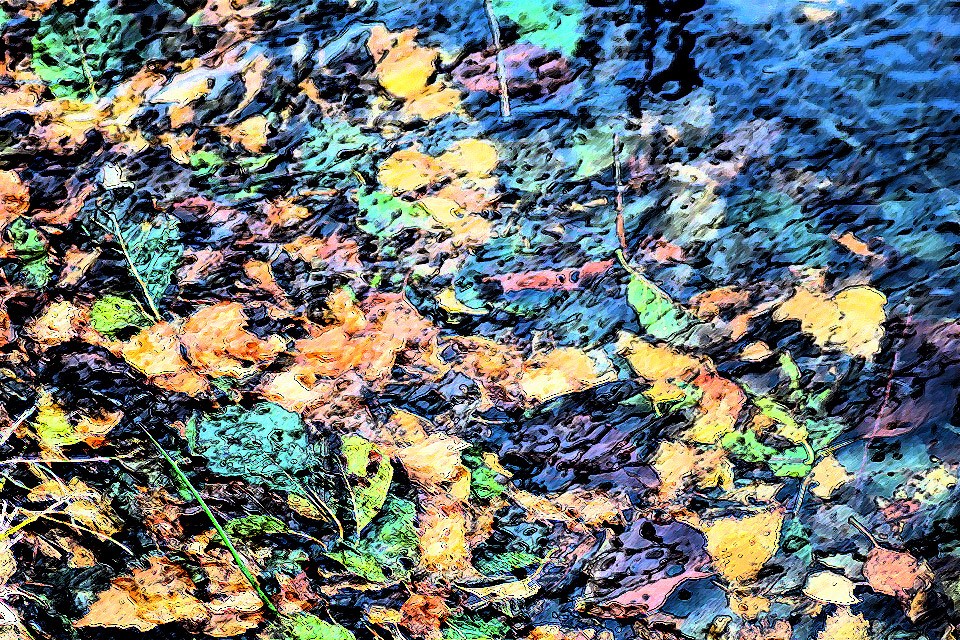 leaves